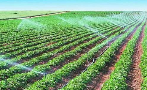 大几八操逼AV农田高 效节水灌溉